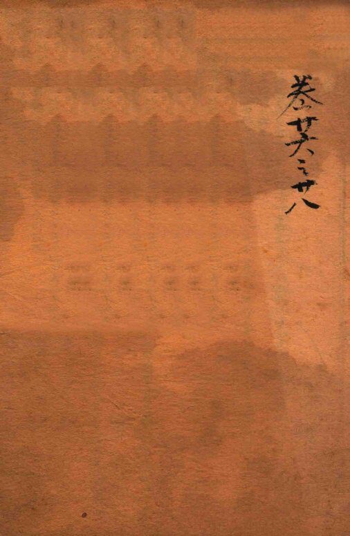 疡医大全  卷26-28 封面