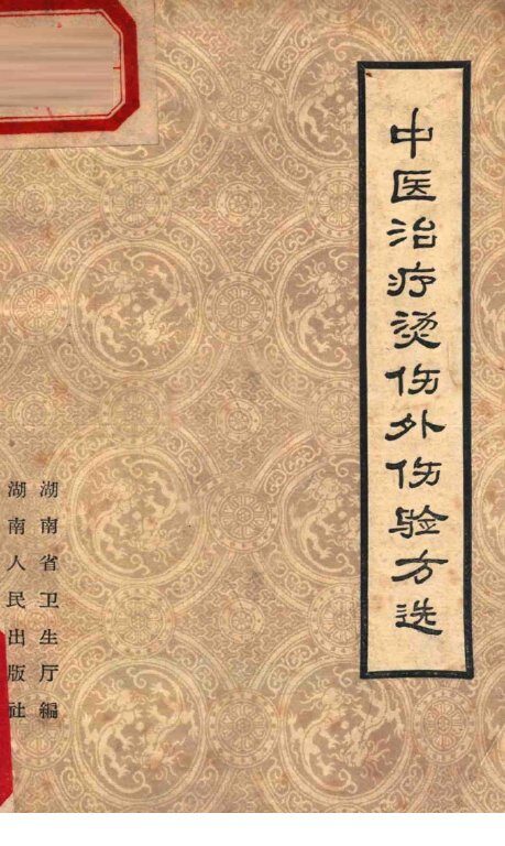 中医治疗烫伤外伤验方选 封面