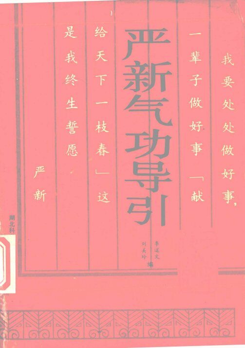 严新气功导引 封面
