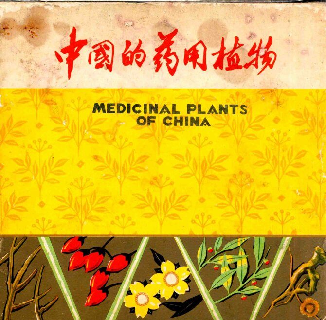 中国的药用植物 封面