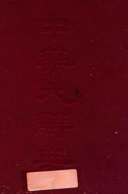中国药学大辞典 封面