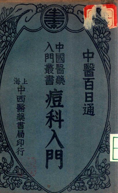 痘科入门 封面