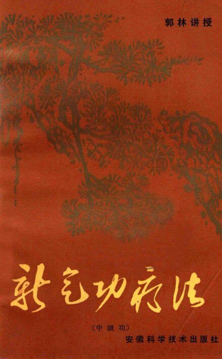 新气功疗法  中级功 封面
