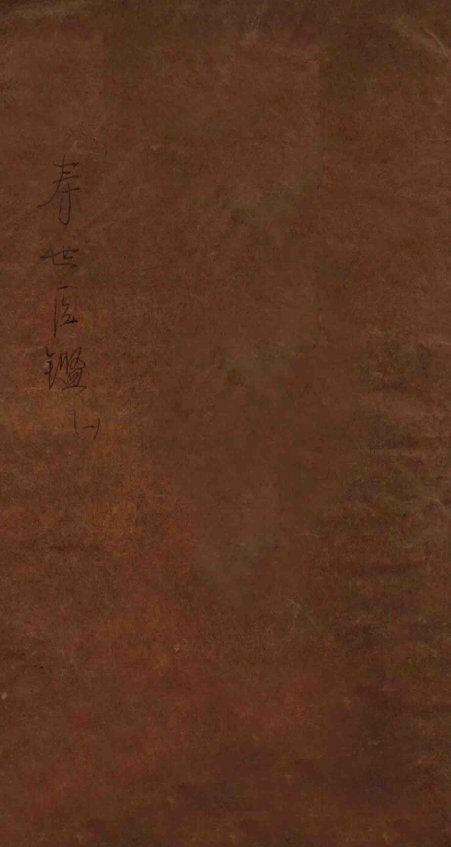 寿世医鉴  上 封面