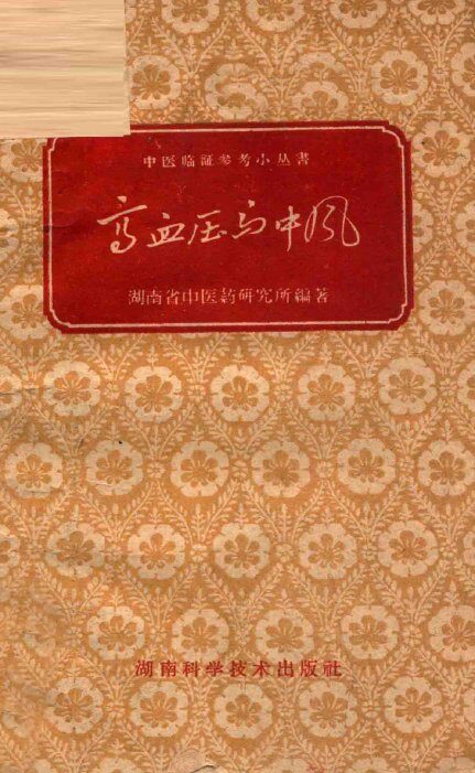 高血压与中风 封面