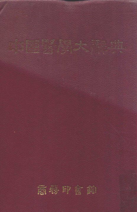 中国医学大辞典  1 封面