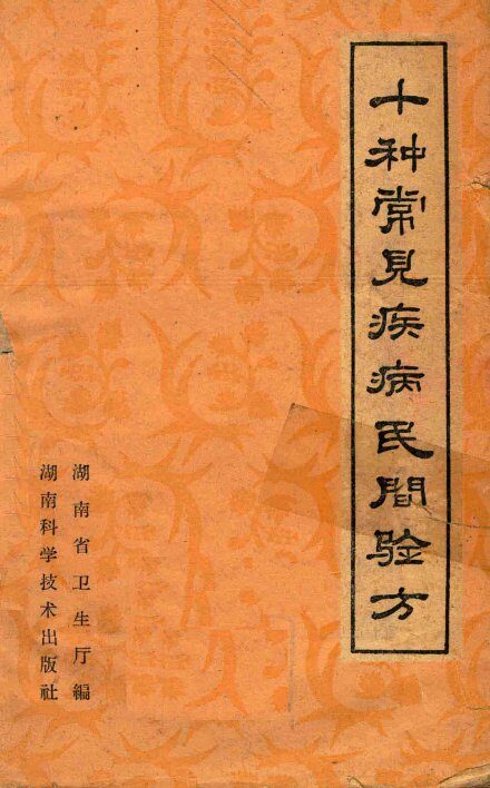 十种常见疾病民间验方 封面