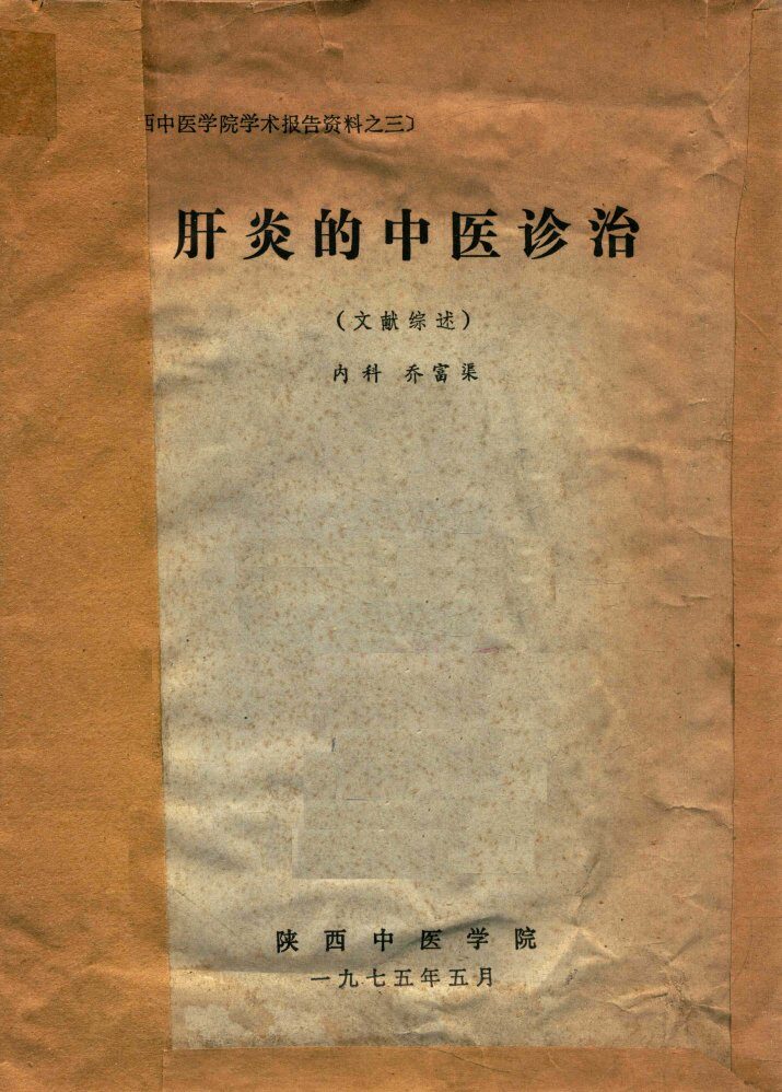肝炎的中医诊治  文献综述 封面