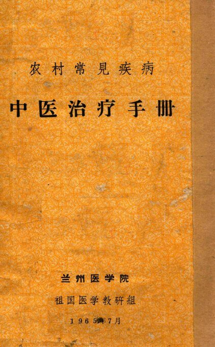 农村常见疾病  中医治疗手册 封面