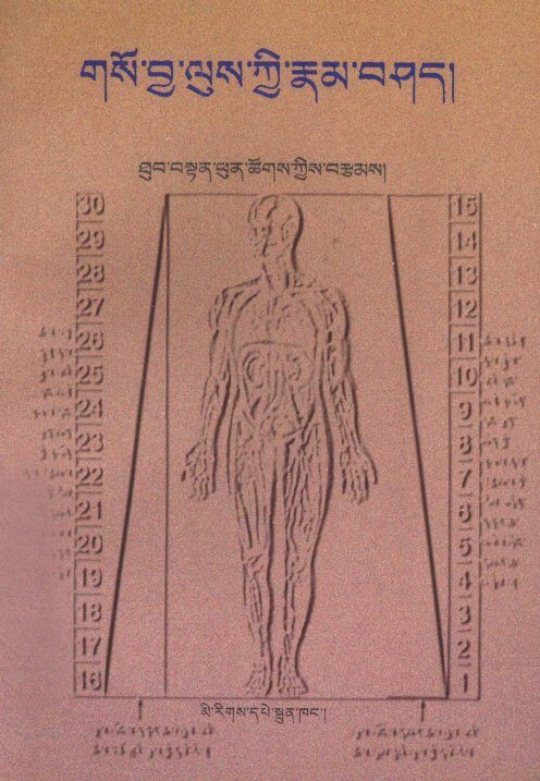 藏医人体结构论  藏文 封面