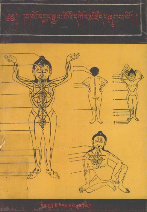 藏医医疗宝藏  藏文 封面