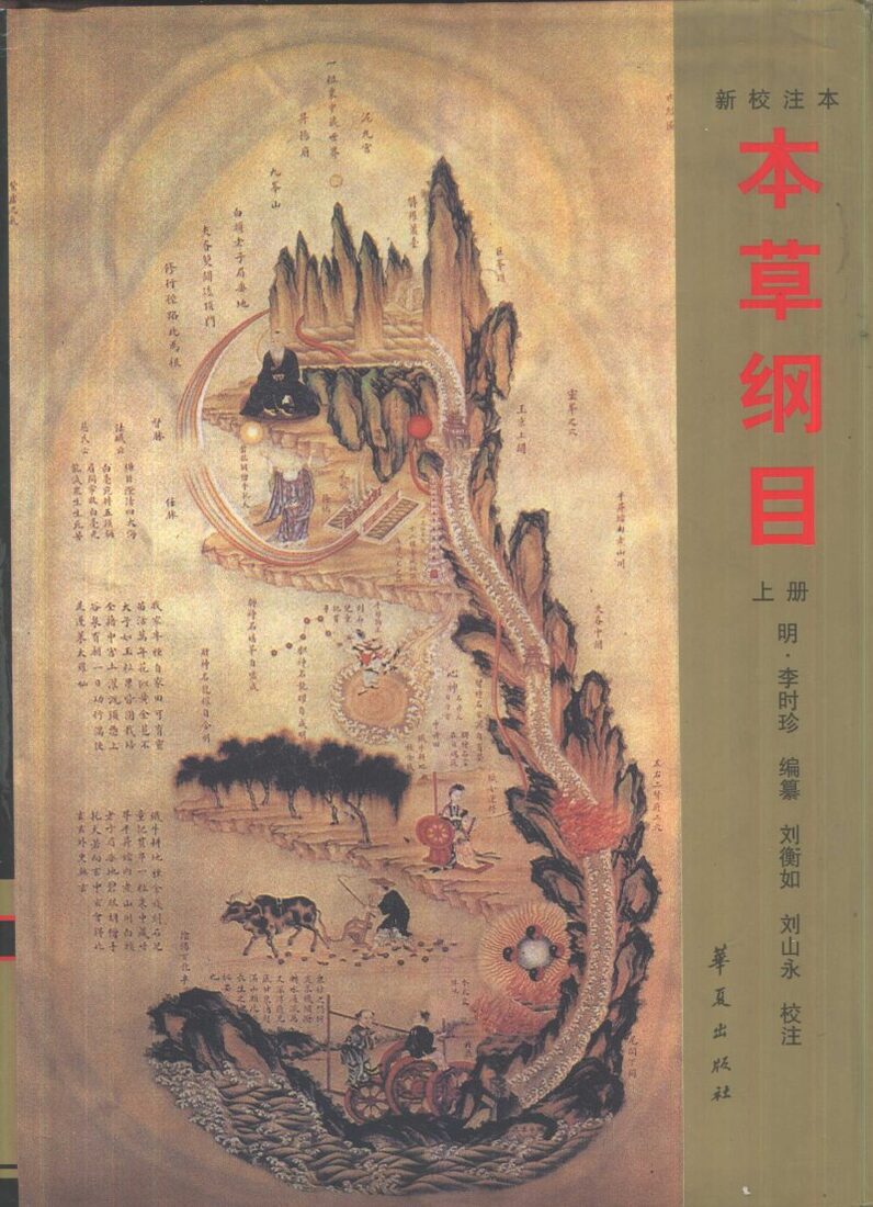 本草纲目：新校注本  下 封面
