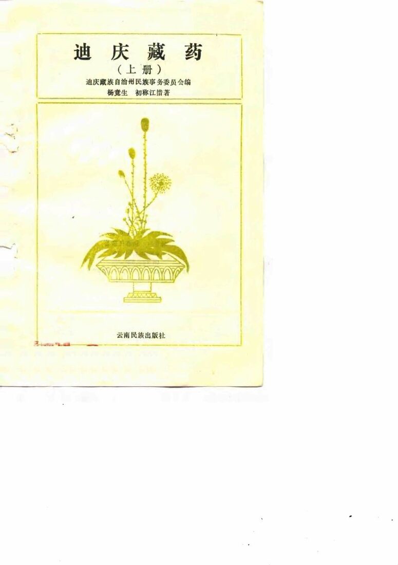 迪庆藏药  下 封面