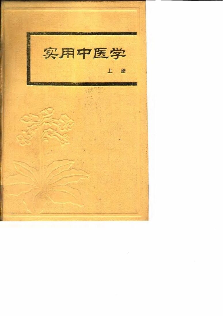 实用中医学  下 封面