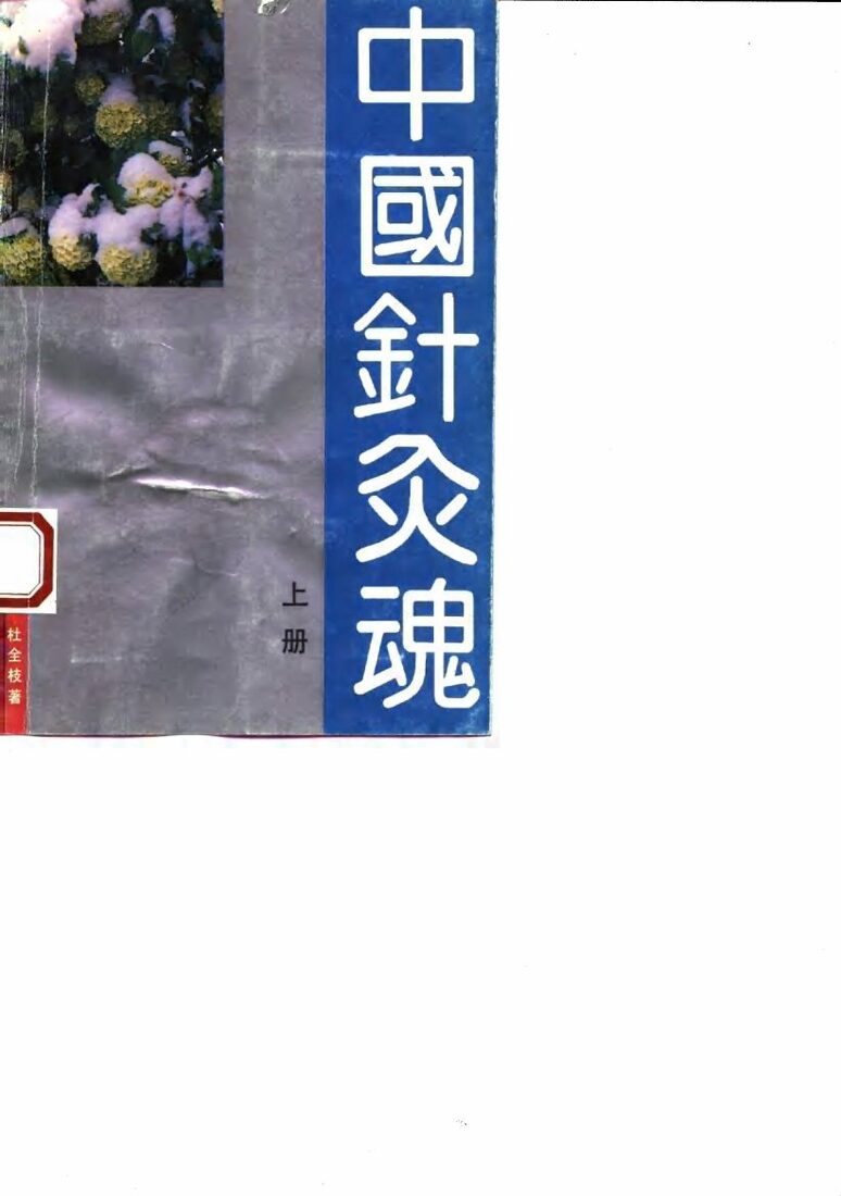 中国针灸魂  下 封面